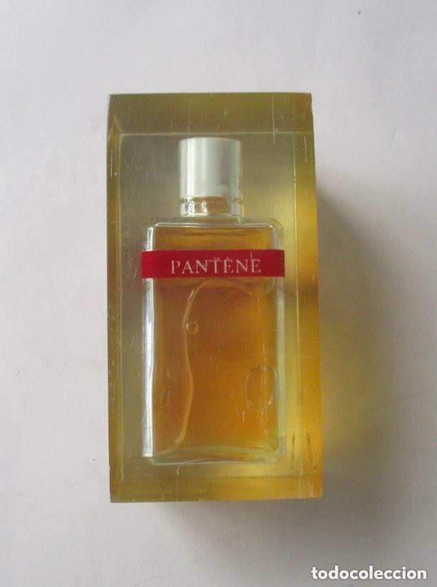 Vintage: COLONIA PANTENE - FRASCO EXPOSITOR - Foto 1