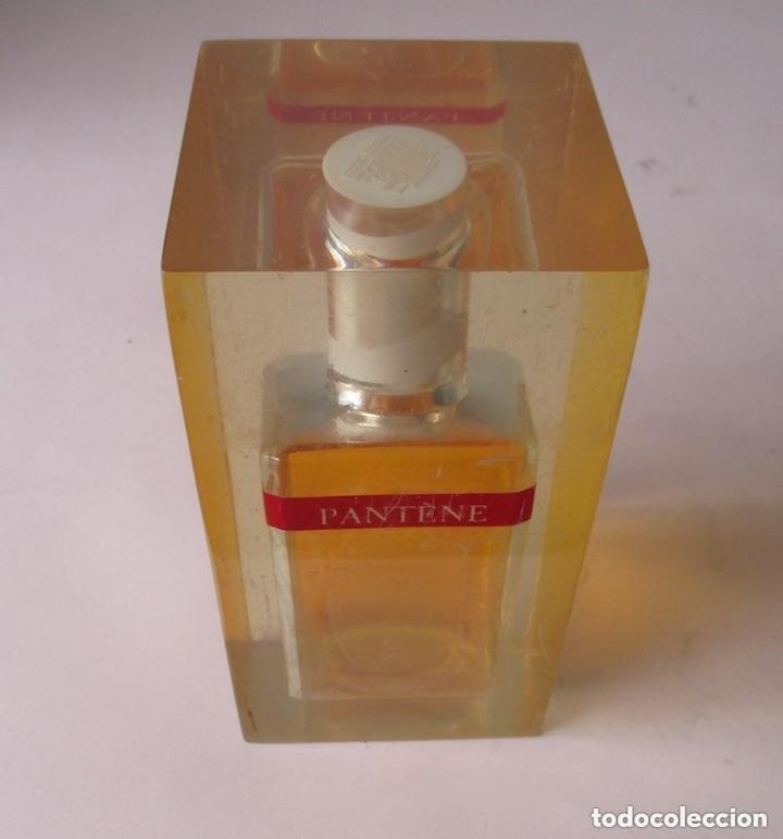 Vintage: COLONIA PANTENE - FRASCO EXPOSITOR - Foto 3