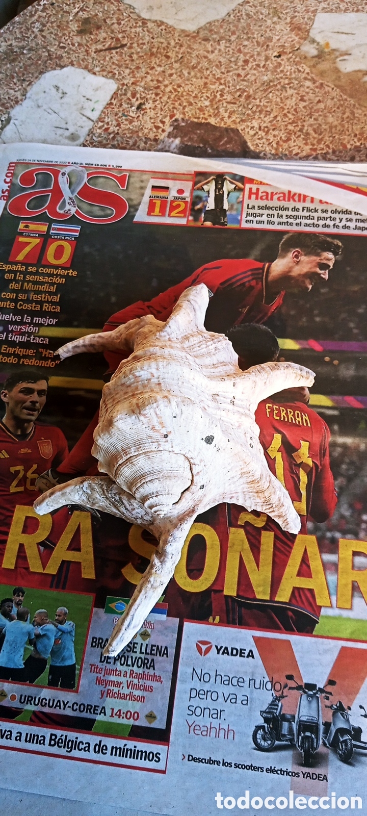 Vintage: Concha Ara&ntilde;a. Harpado Chingra.