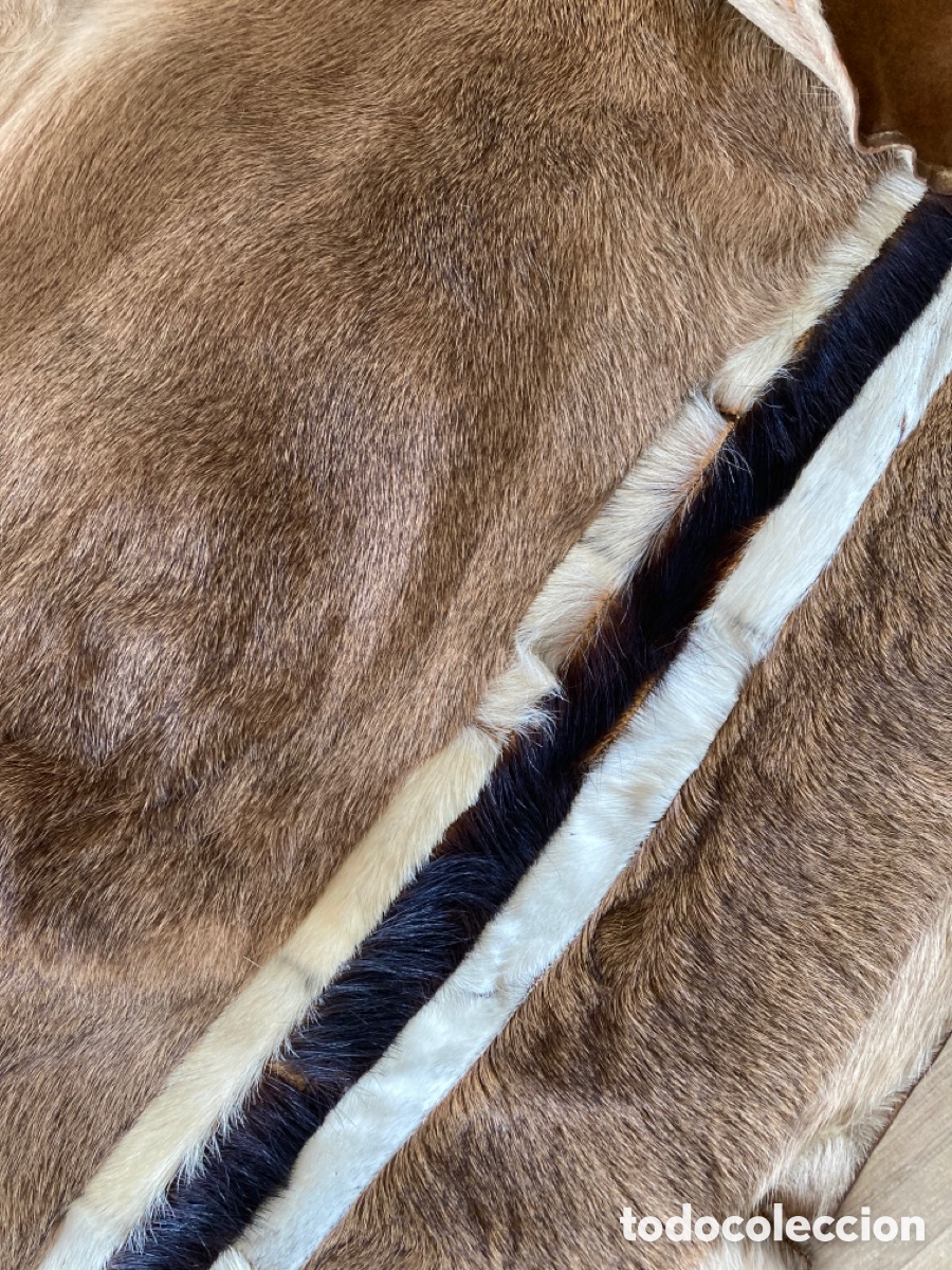 Vintage: Alfombra Piel de impala - Foto 3