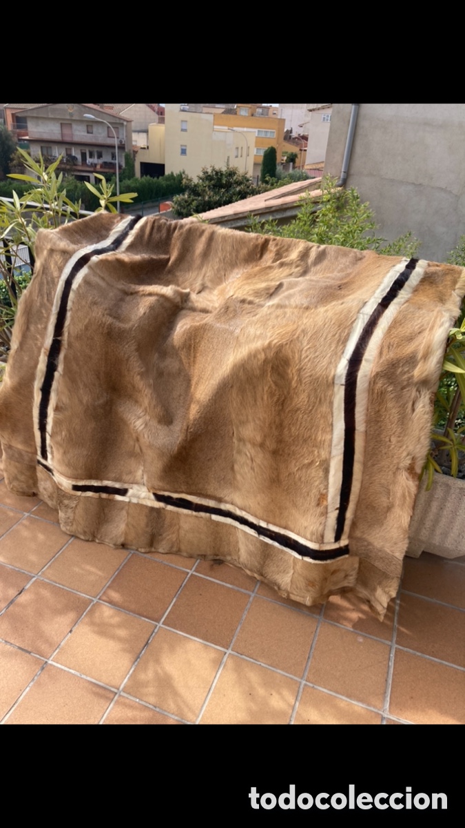 Vintage: Alfombra Piel de impala - Foto 4