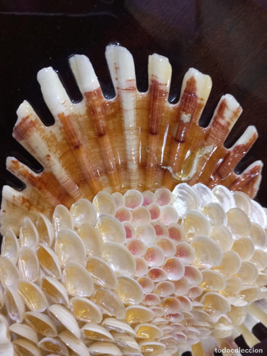 Vintage: CUADRO &uml;CONCHAS&uml; pez g - Foto 4