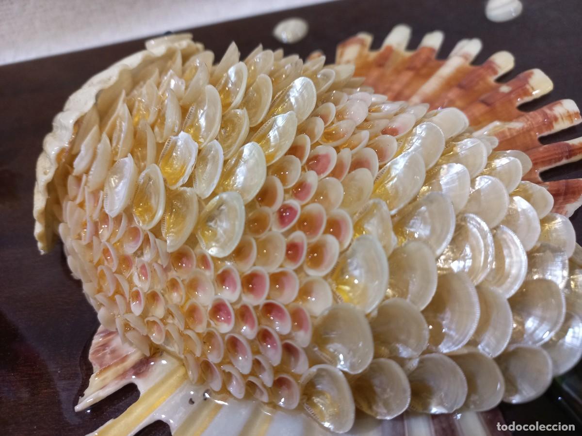 Vintage: CUADRO &uml;CONCHAS&uml; pez g - Foto 6