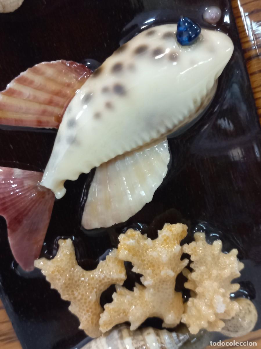 Vintage: CUADRO &uml;CONCHAS&uml; dos peces. P - Foto 3