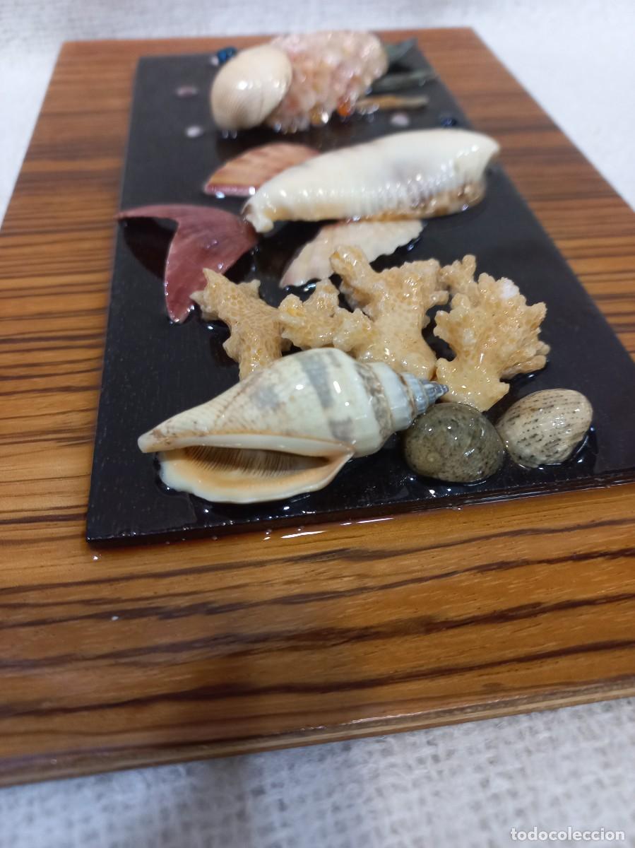 Vintage: CUADRO &uml;CONCHAS&uml; dos peces. P - Foto 4