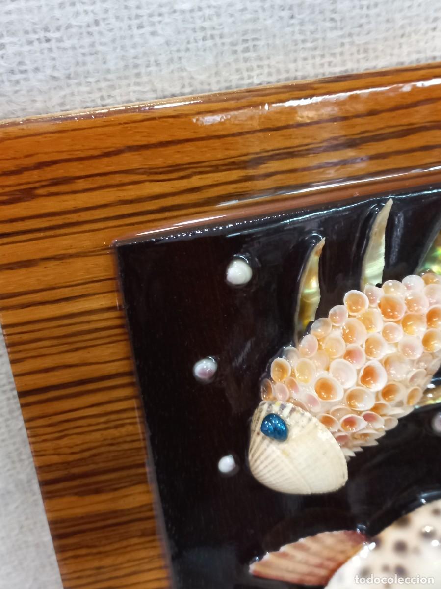 Vintage: CUADRO &uml;CONCHAS&uml; dos peces. P - Foto 5
