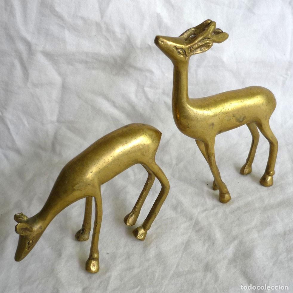 Vintage: Pareja de cervatillos en bronce - Foto 1