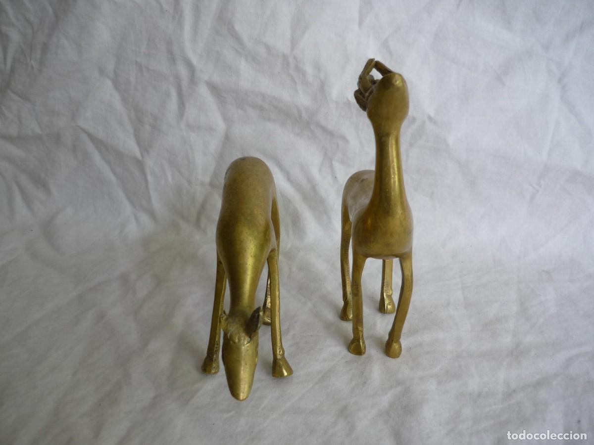 Vintage: Pareja de cervatillos en bronce - Foto 3