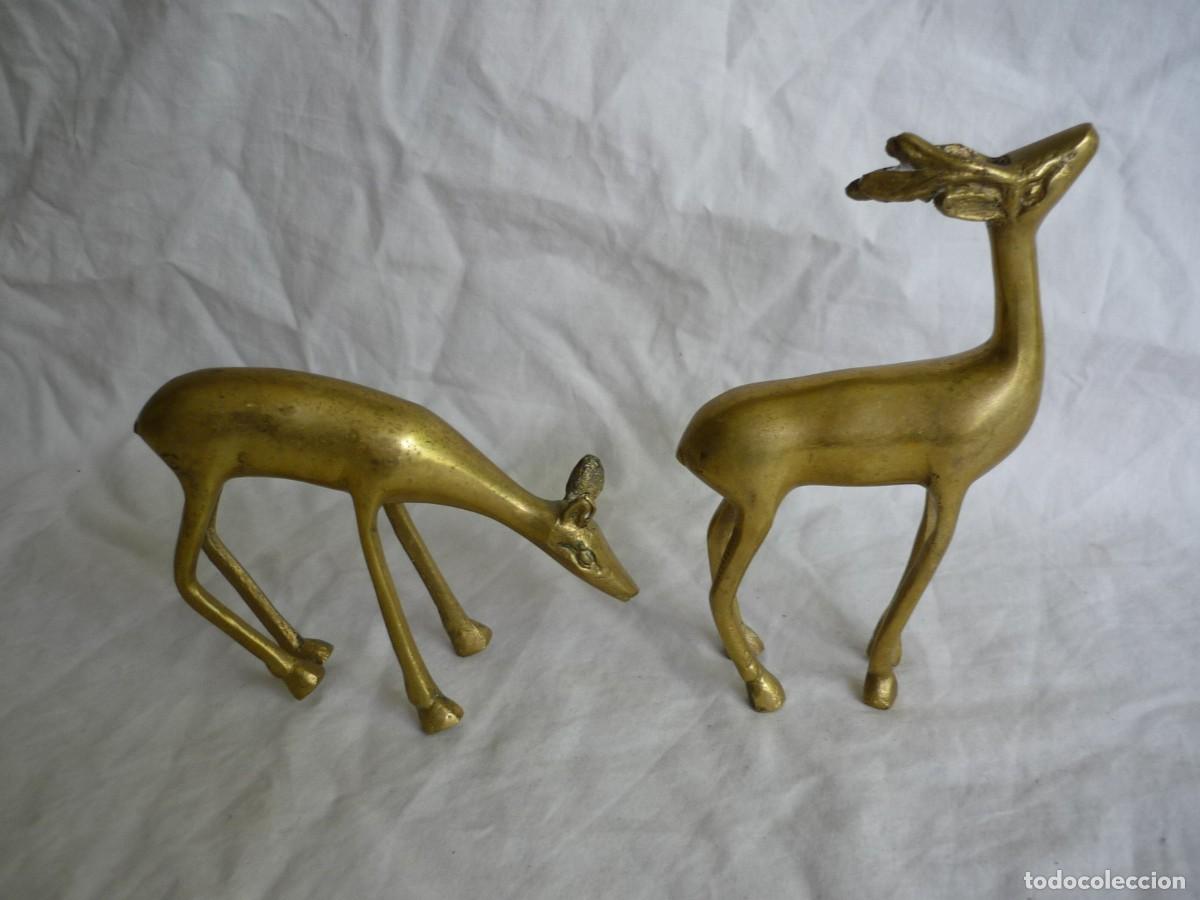 Vintage: Pareja de cervatillos en bronce - Foto 4