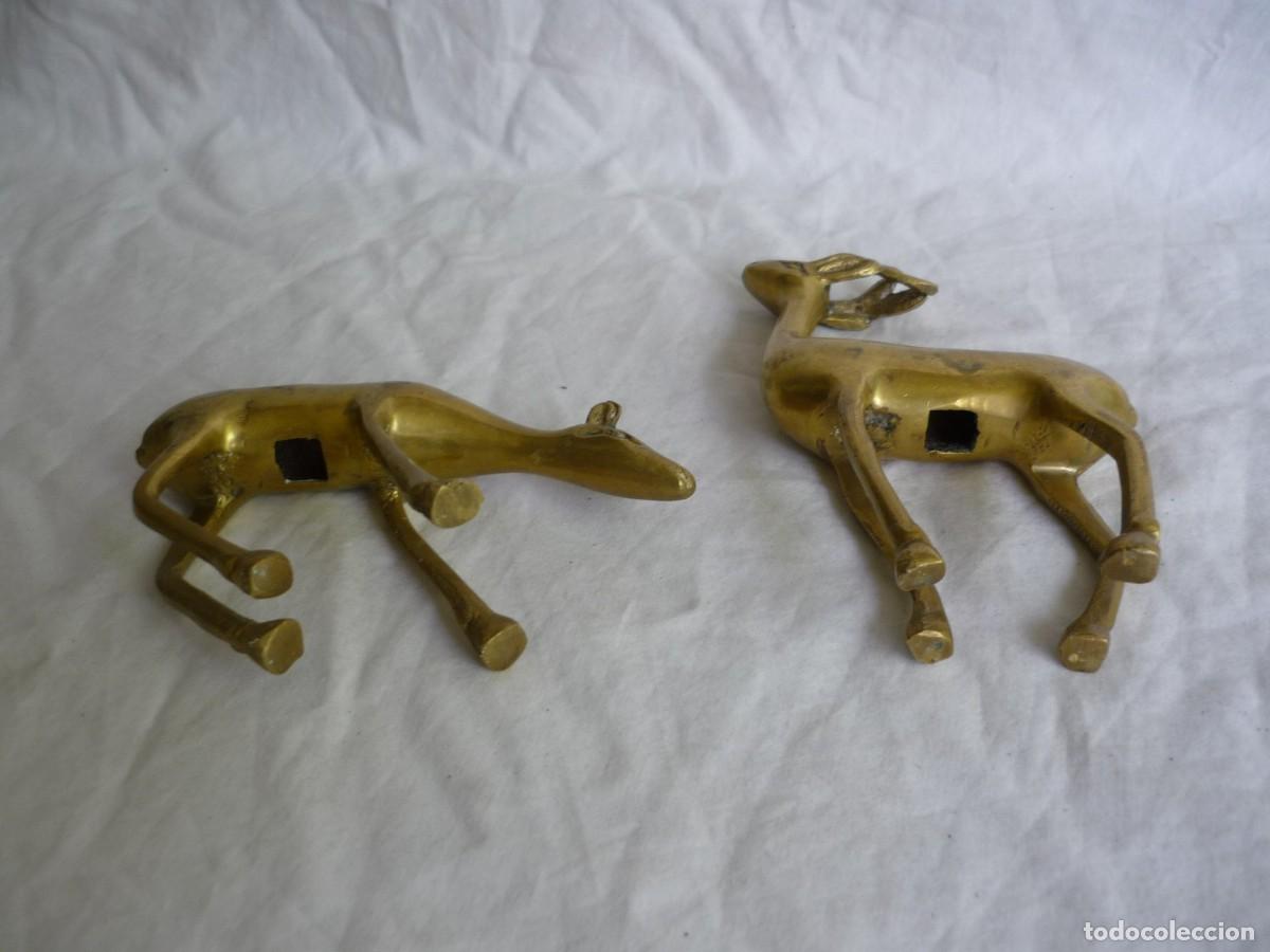 Vintage: Pareja de cervatillos en bronce - Foto 6