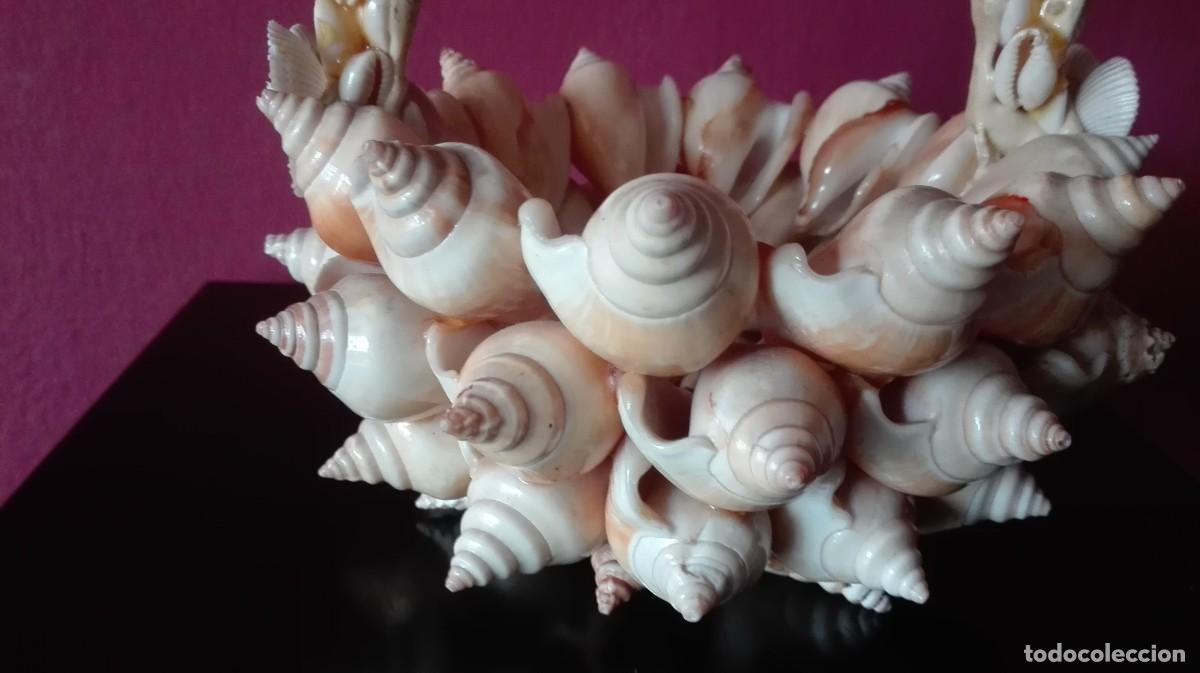 Vintage: CESTA CARACOLAS - Foto 5