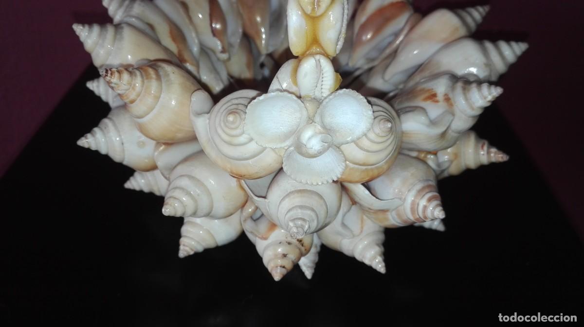 Vintage: CESTA CARACOLAS - Foto 7