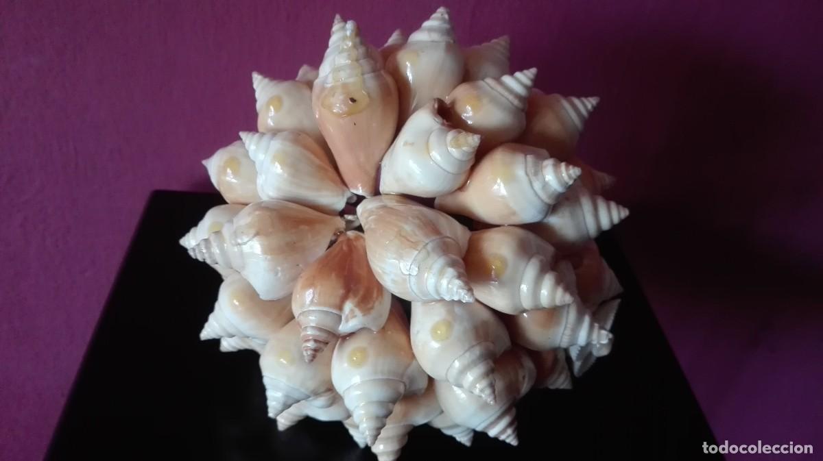 Vintage: CESTA CARACOLAS - Foto 8