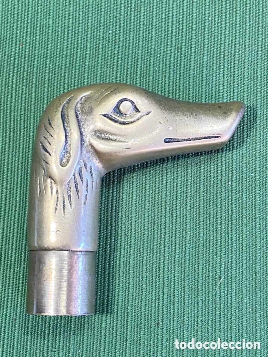 Vintage: Empu&ntilde;adura de bast&oacute;n. Cabeza de perro en bronce. - Foto 12