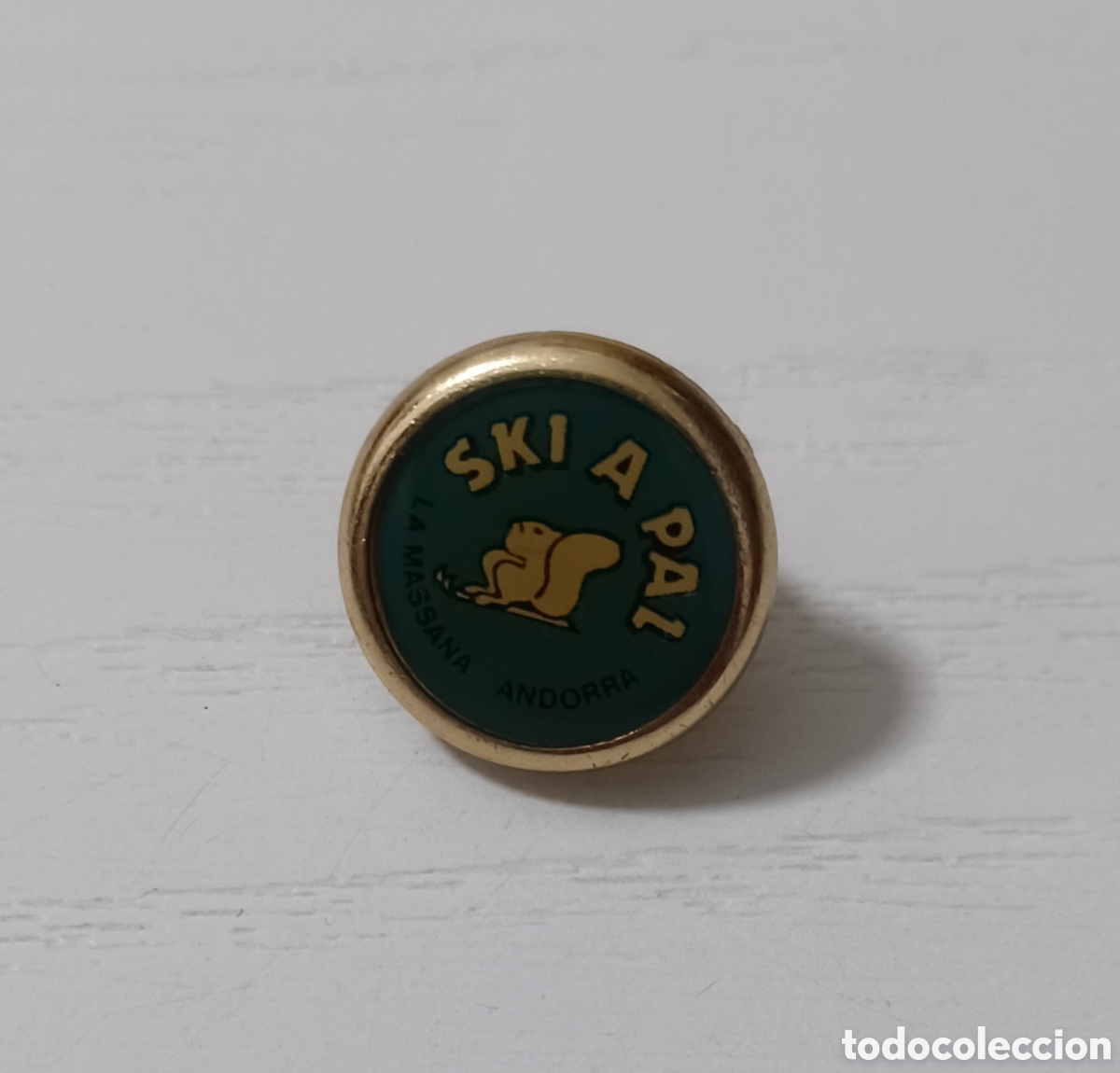 Vintage: Pin - Ski a PAL