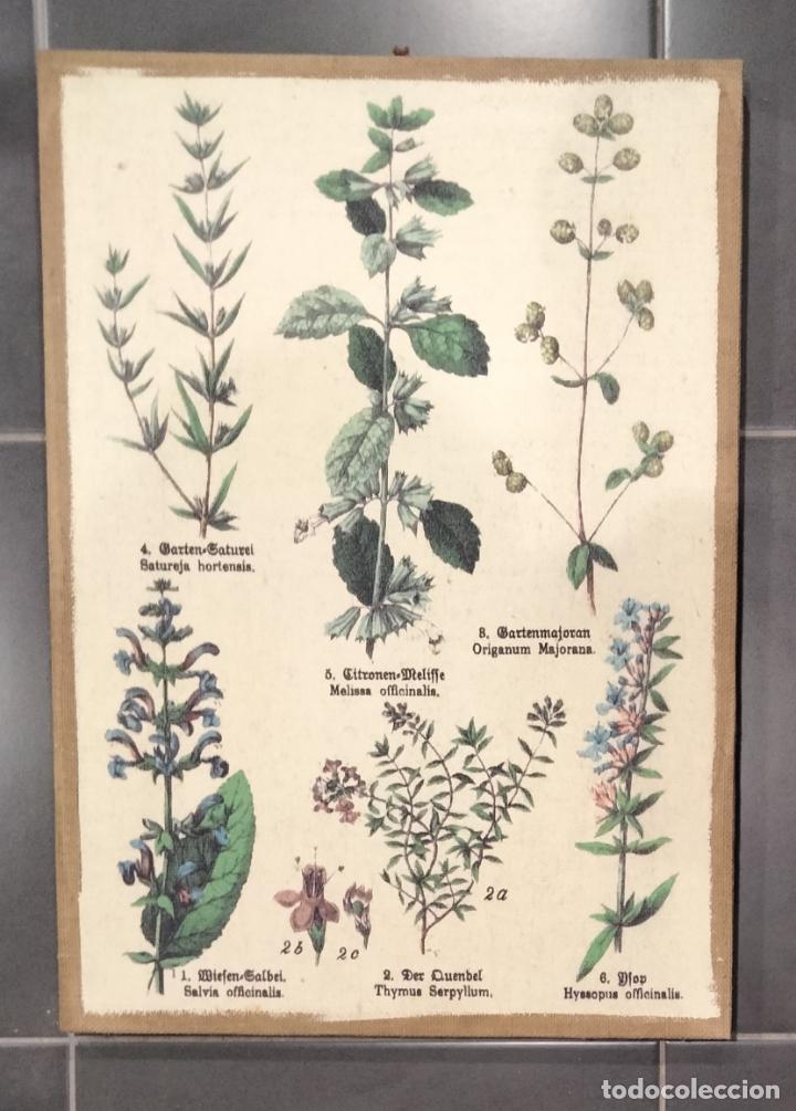 Vintage: Cuadro de madera y tela impresa con motivos vegetales.
