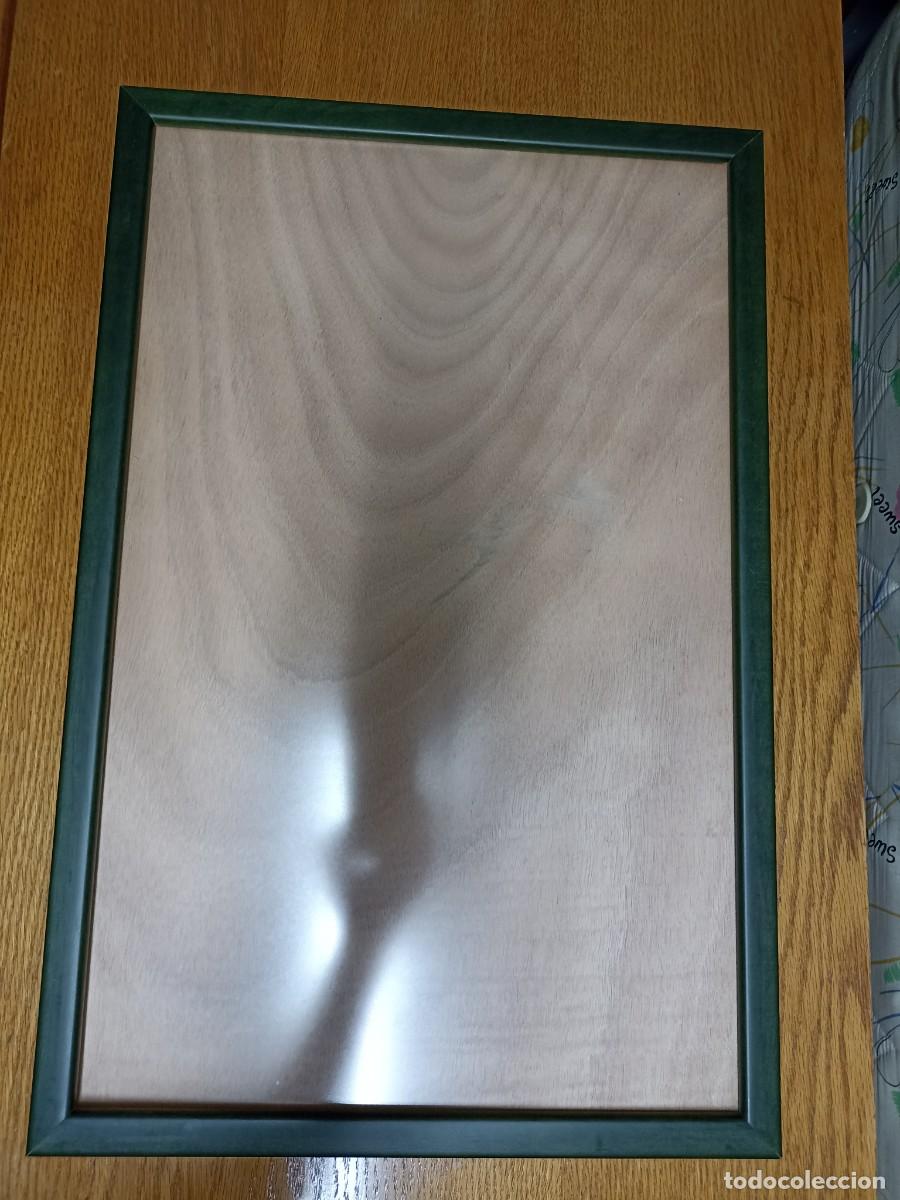 Vintage: Marco madera verde y protecci&oacute;n de metraquilato brillante.57x38 cm.