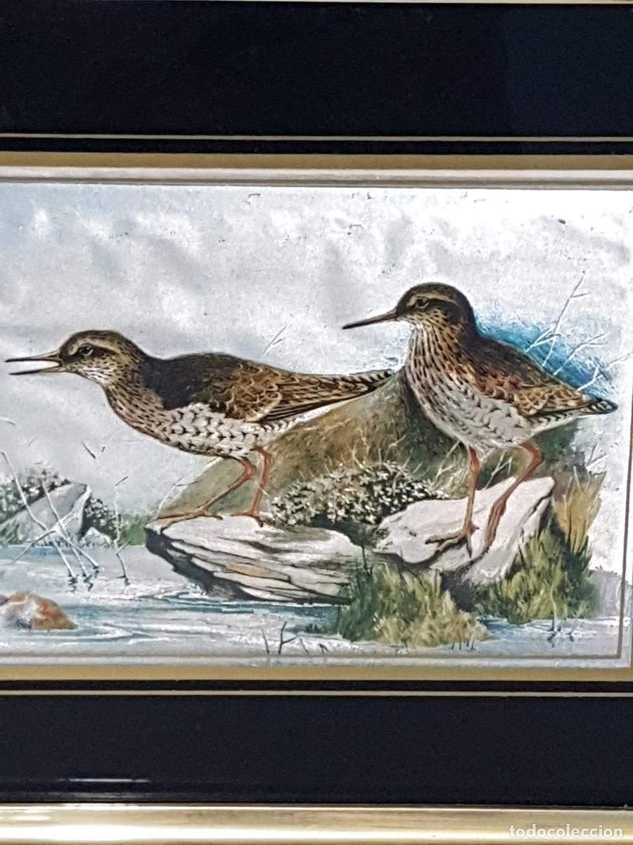 Vintage: 2 CUADROS PAJAROS - Foto 2