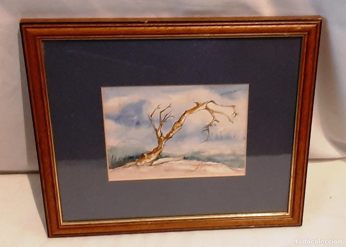 Vintage: El &aacute;rbol seco - Foto 1