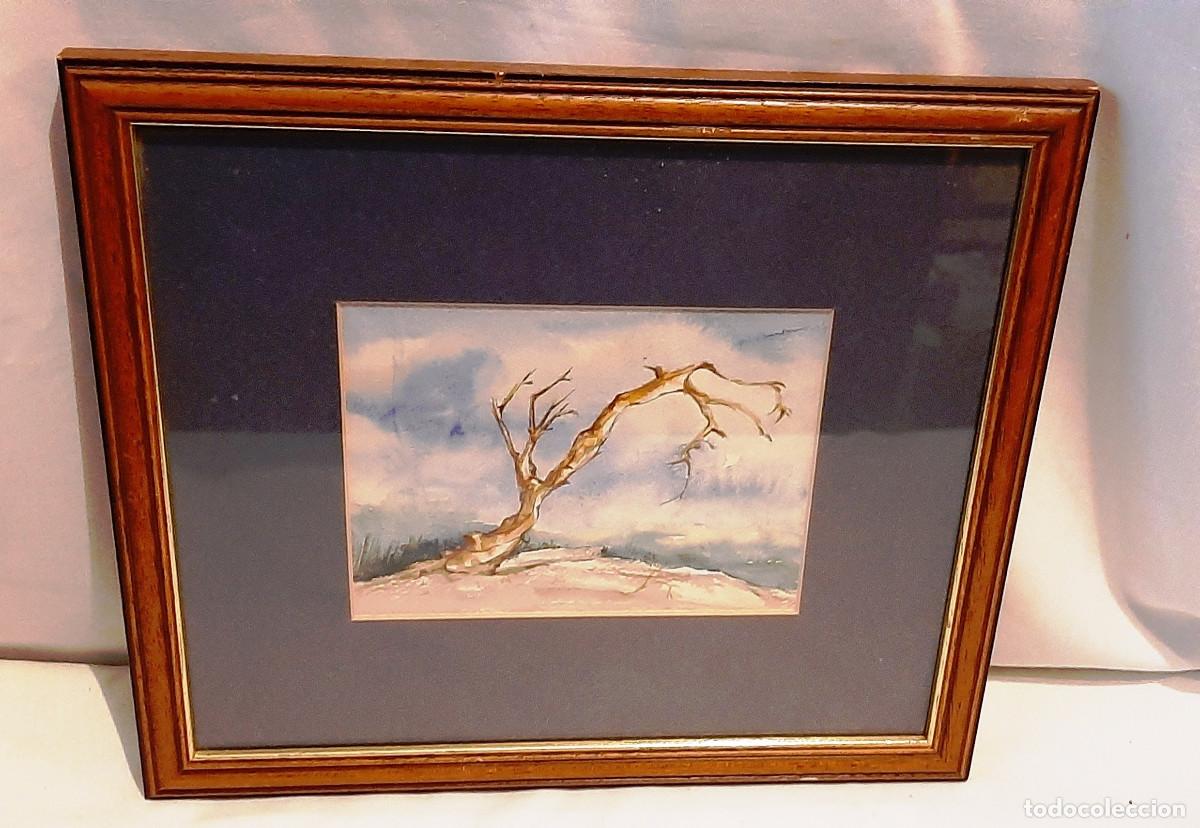 Vintage: El &aacute;rbol seco - Foto 2