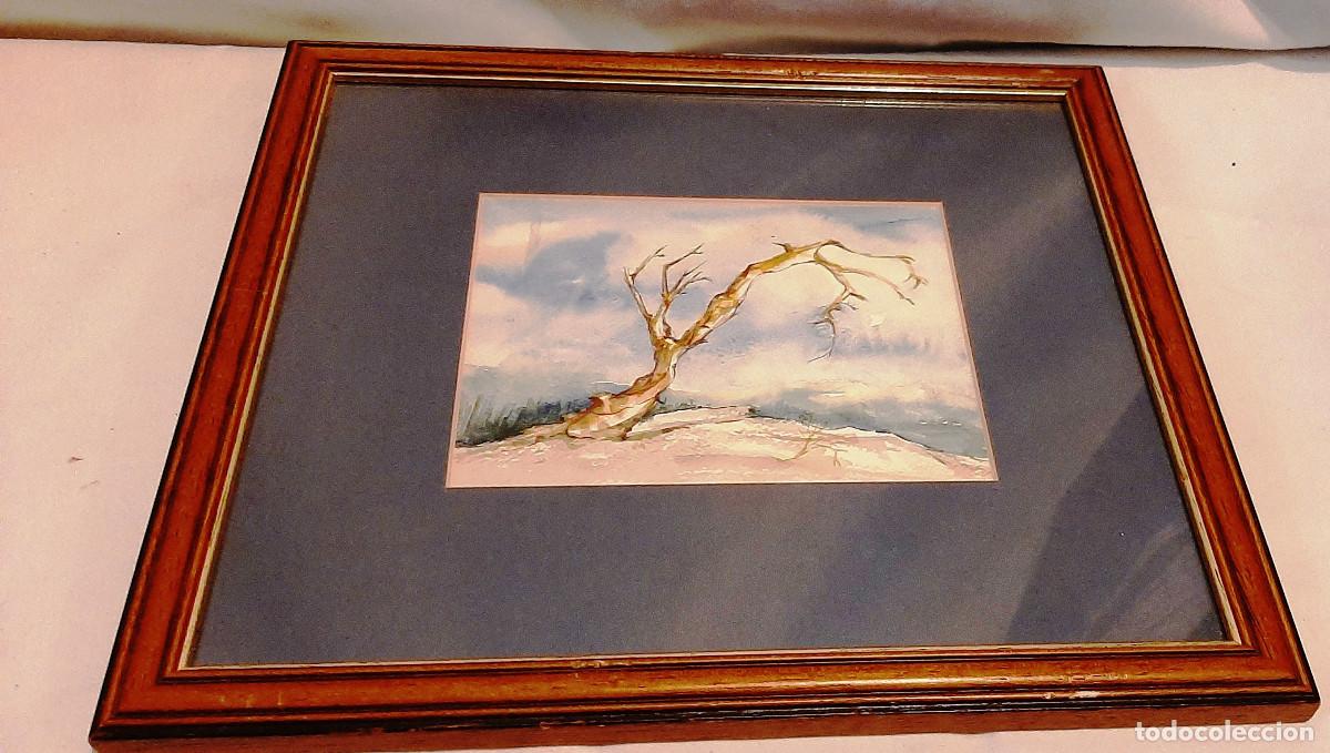 Vintage: El &aacute;rbol seco - Foto 3