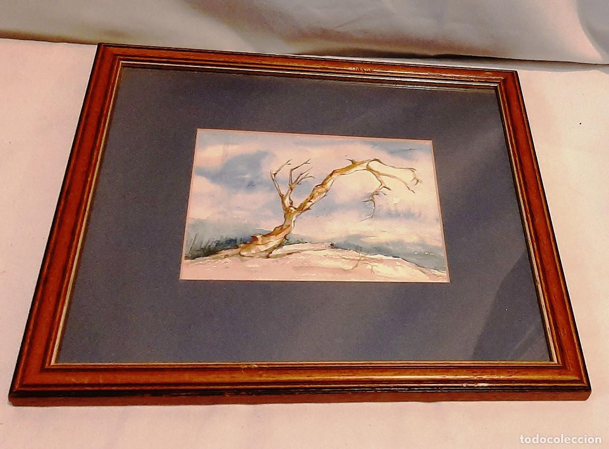 Vintage: El &aacute;rbol seco - Foto 4