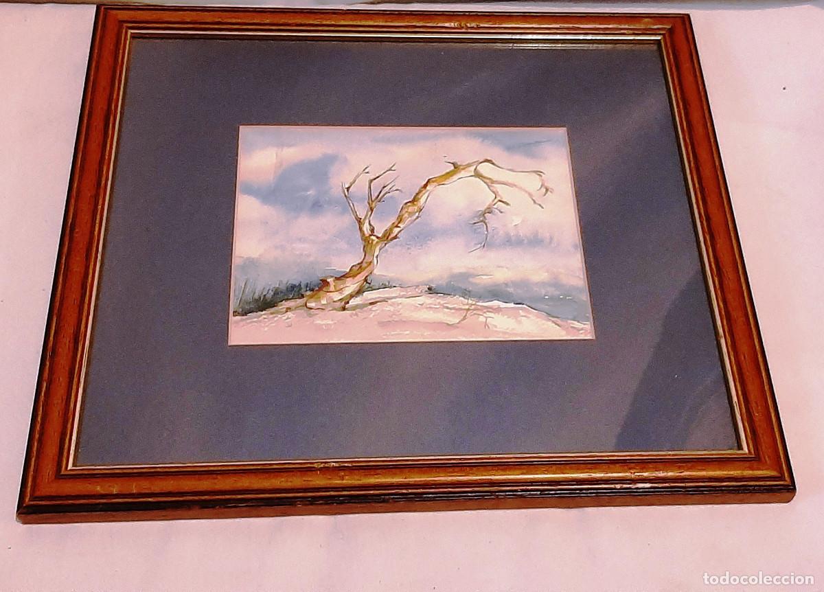 Vintage: El &aacute;rbol seco - Foto 5