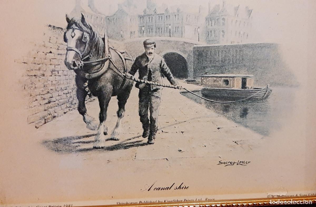 Vintage: A canal shire de John Seerey Lester - Foto 4