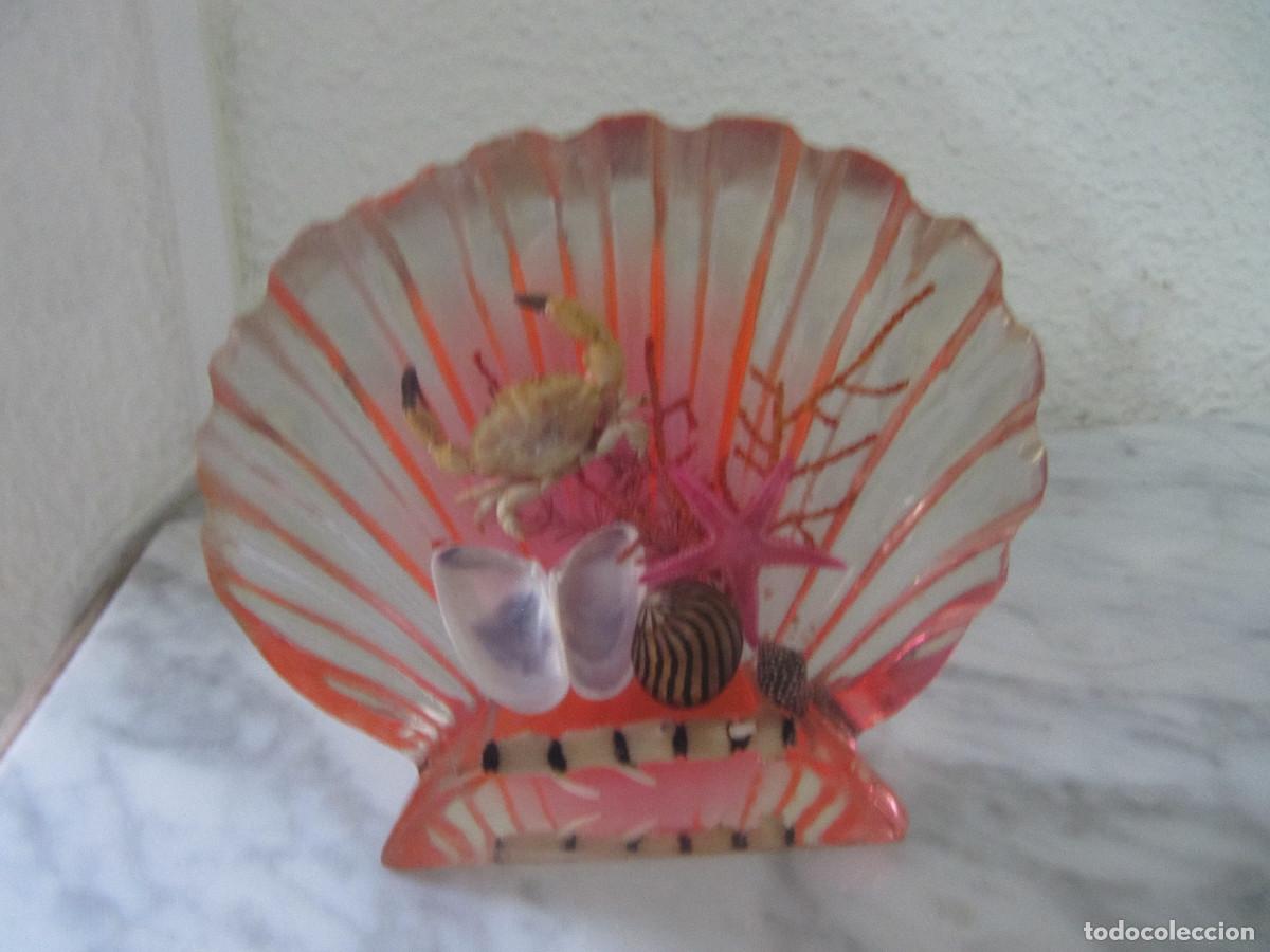 Vintage: Pisapapeles CONCHA de METACRILATO facetado con incrustaciones fondo marino