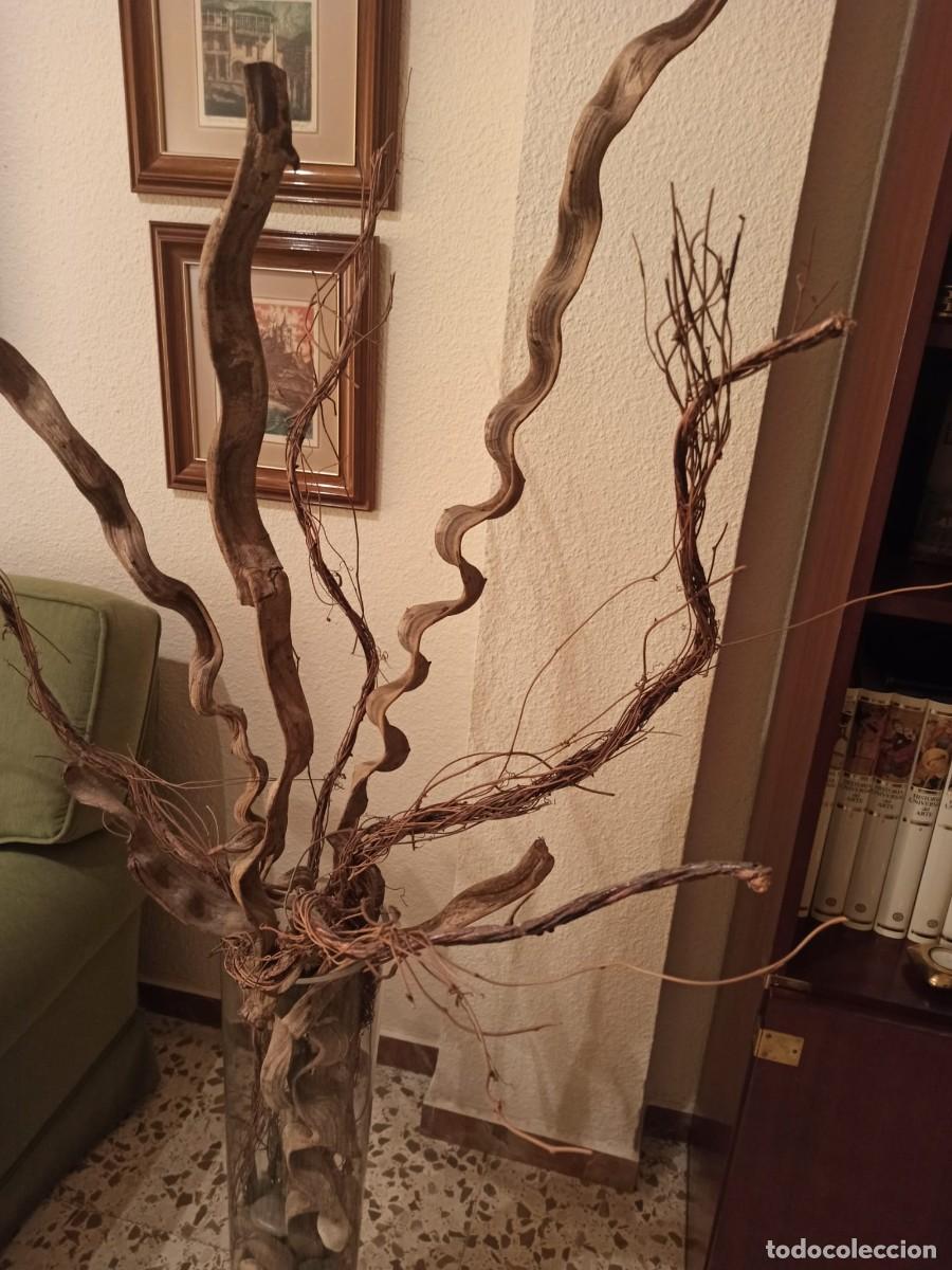 Vintage: JARR&Oacute;N CRISTAL GRUESO 75 X 18 CENT&Iacute;METROS CON RA&Iacute;CES ALTURA 170