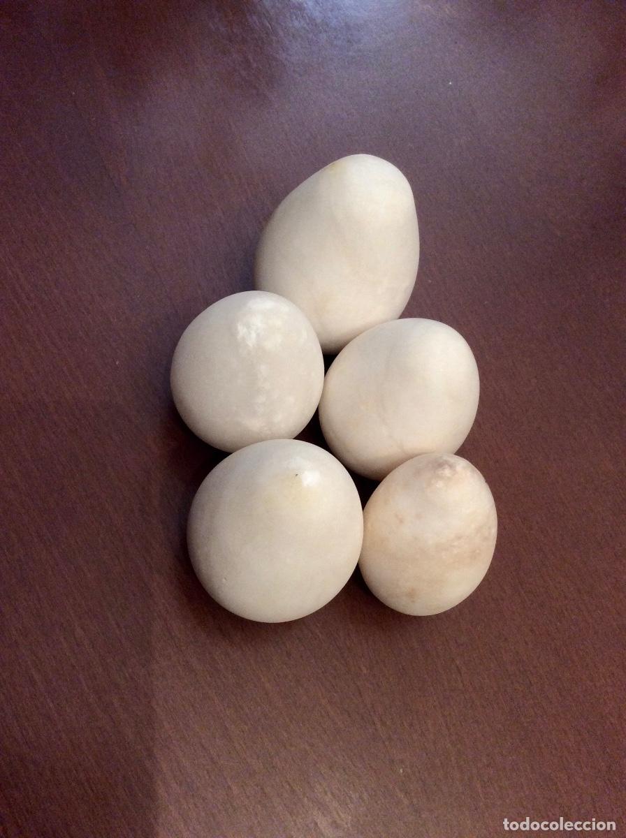 Vintage: LOTE DE 5 HUEVOS PIEDRA - Foto 3