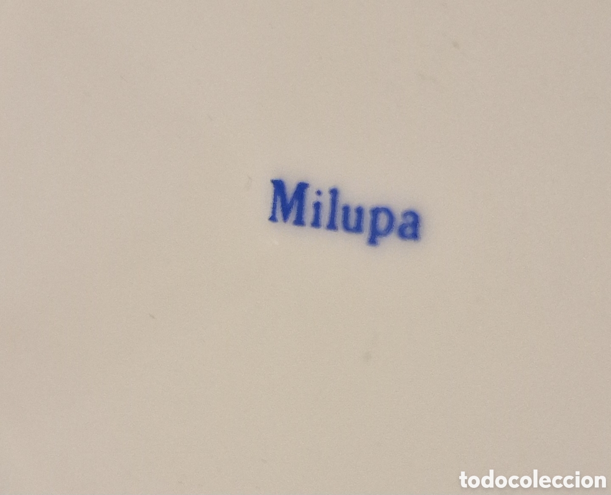 Vintage: LOTE DE 15 PLATOS MILUPA - Foto 6