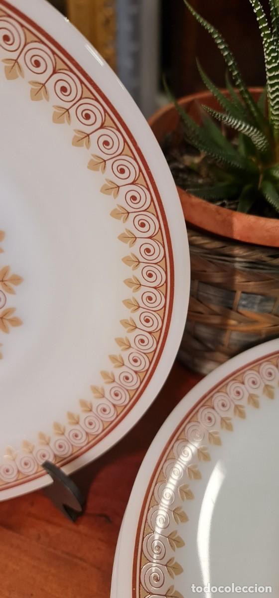 Vintage: 10 Platos de Arcopal Espa&ntilde;a Vintage - Foto 5