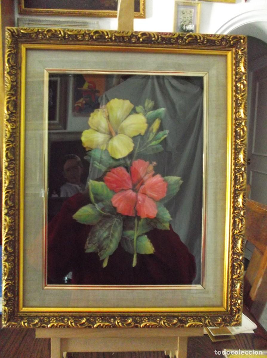 Vintage: CUADRO DE PLANTAS - MANUALIDADES.