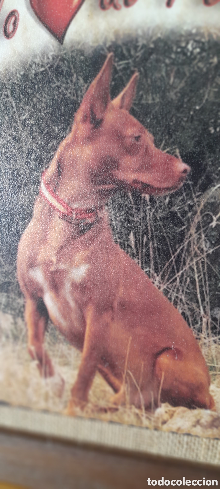 Vintage: Cuadro I love podencos - Foto 3