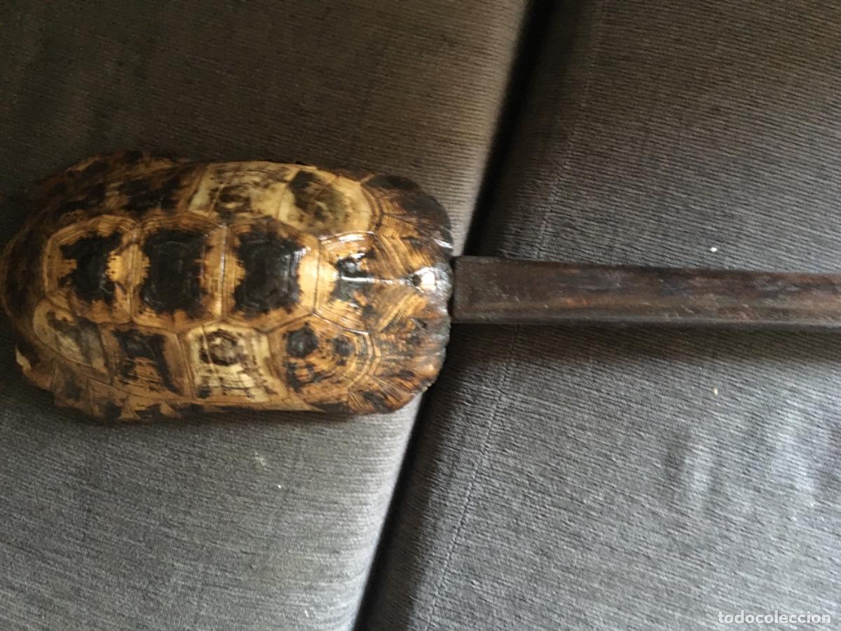 Vintage: Guitarra tortuga madera - Foto 1