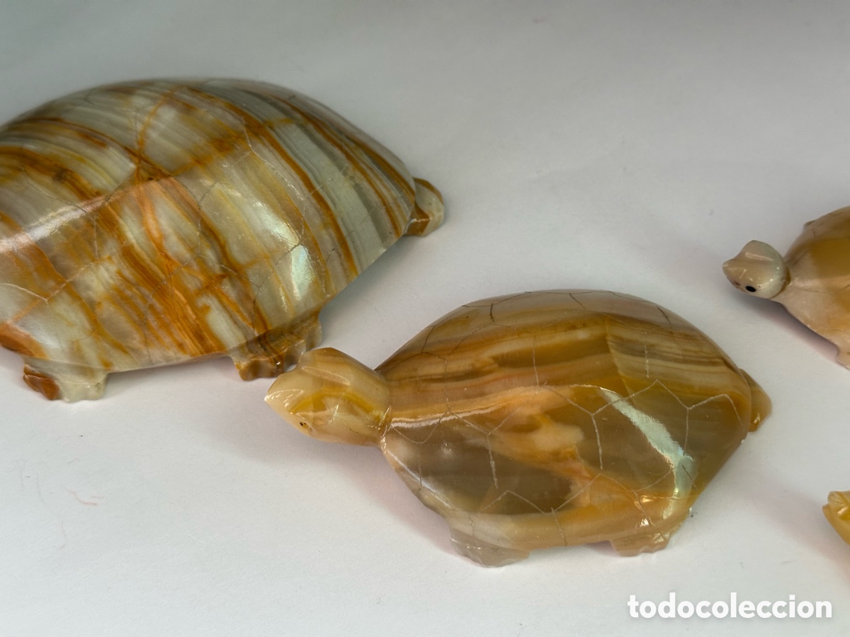 Vintage: Tortugas de &oacute;nice cuatro - Foto 5