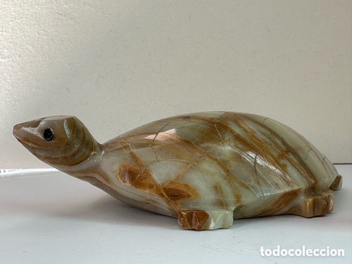 Vintage: Tortugas de &oacute;nice cuatro - Foto 7