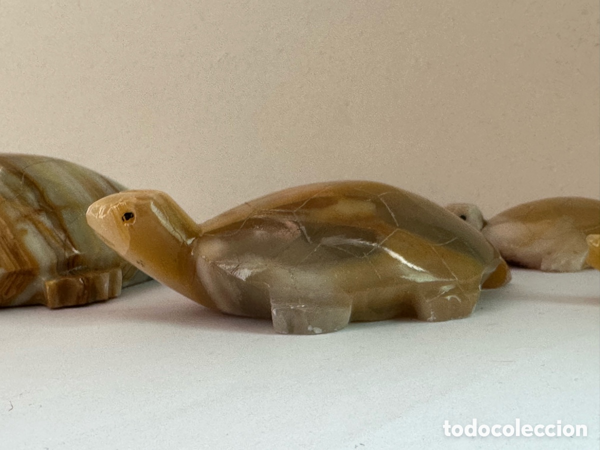 Vintage: Tortugas de &oacute;nice cuatro - Foto 8