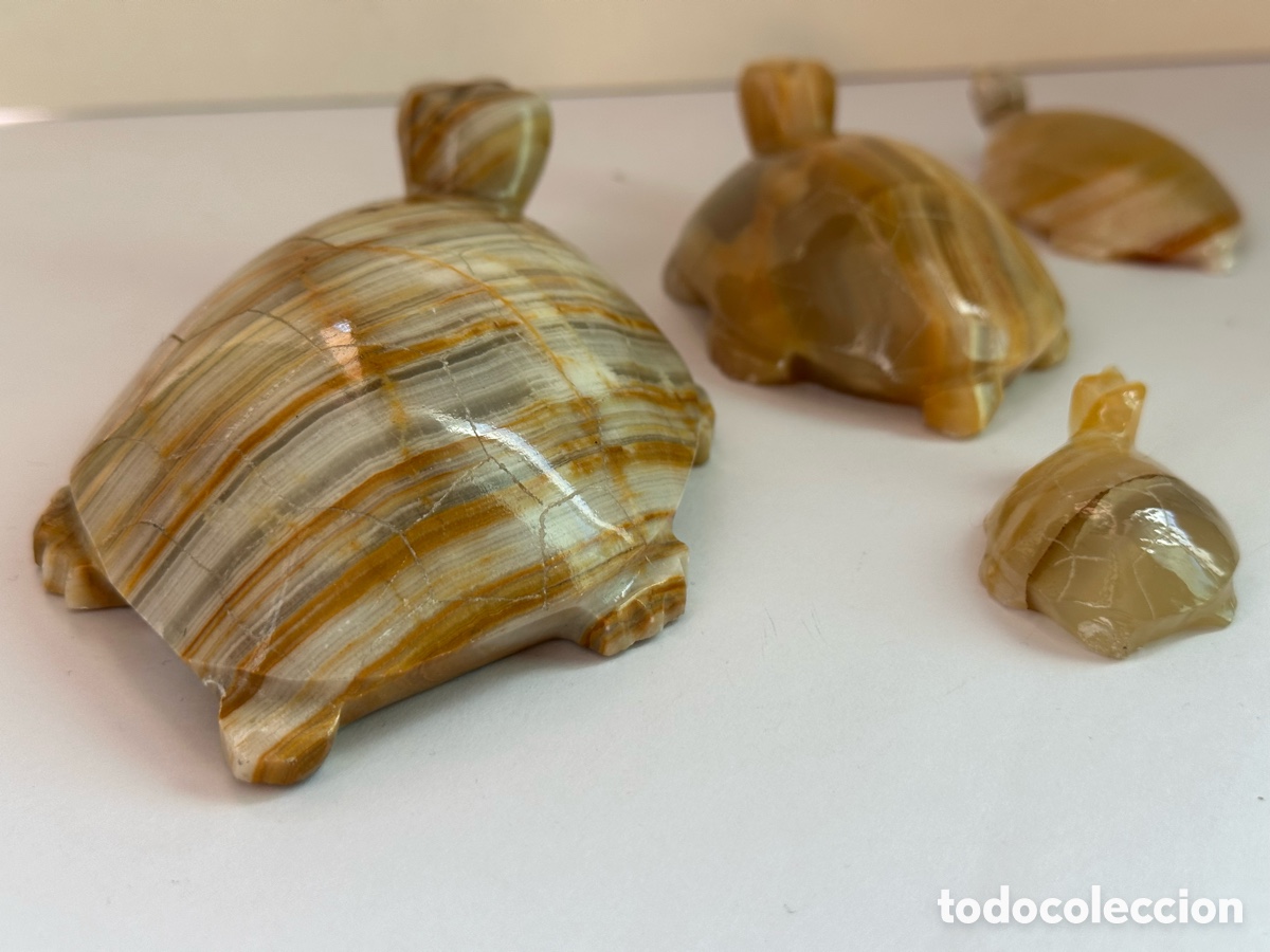 Vintage: Tortugas de &oacute;nice cuatro - Foto 10