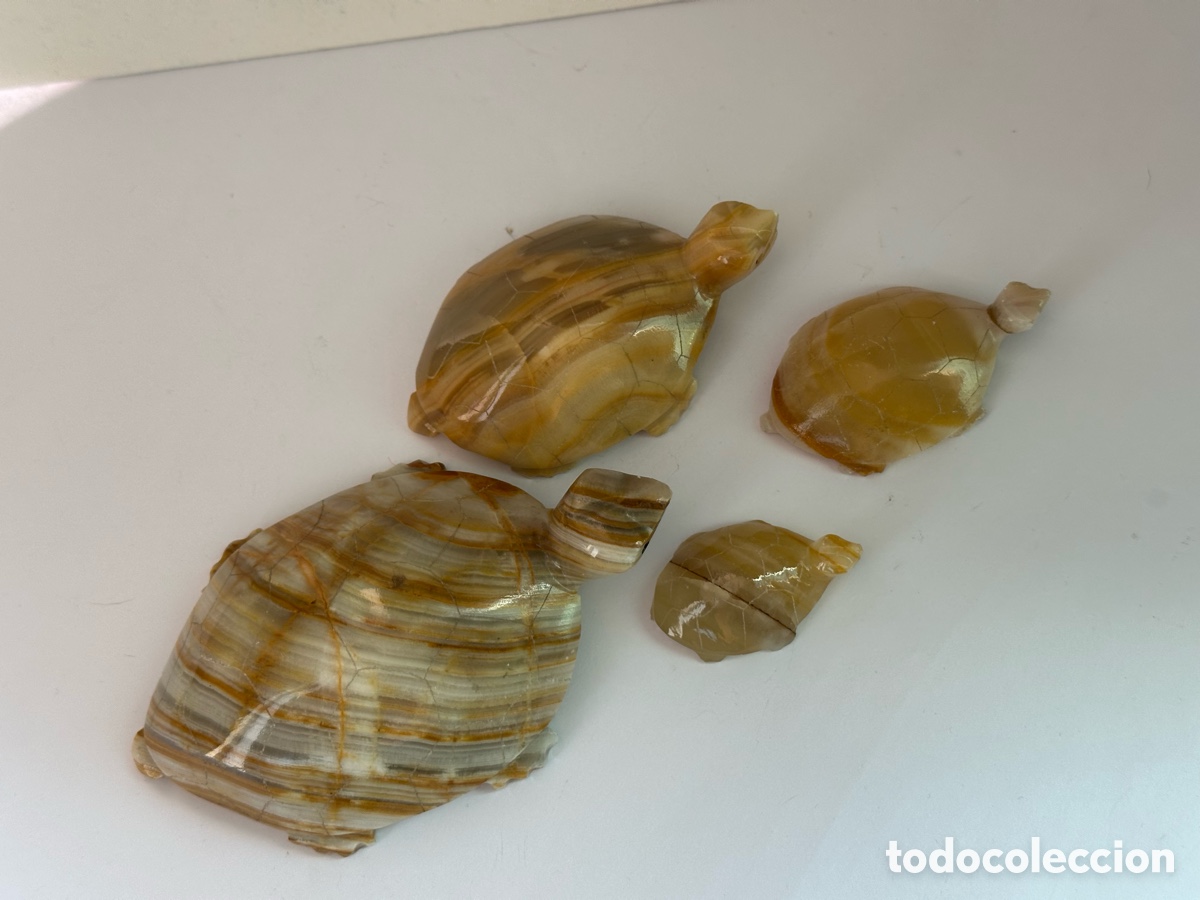 Vintage: Tortugas de &oacute;nice cuatro - Foto 12