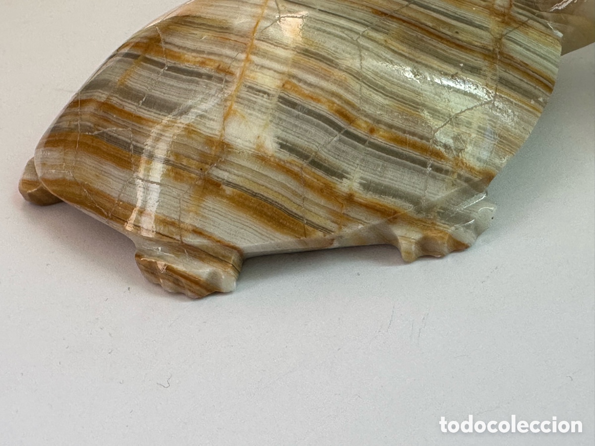 Vintage: Tortugas de &oacute;nice cuatro - Foto 13