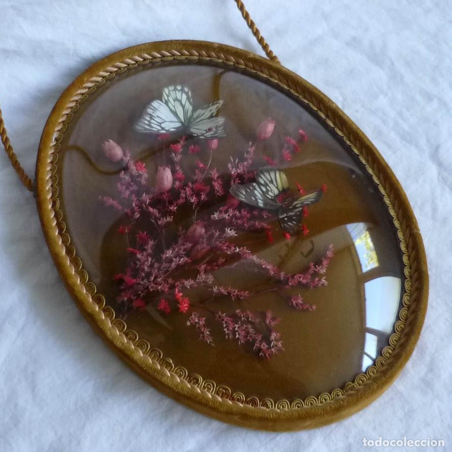 Vintage: Cuadro ovalado de flores secas y mariposas - Foto 1
