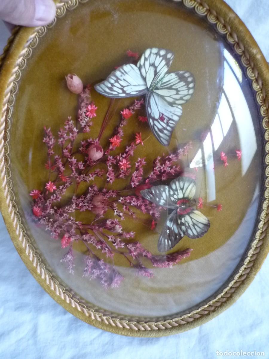 Vintage: Cuadro ovalado de flores secas y mariposas - Foto 3