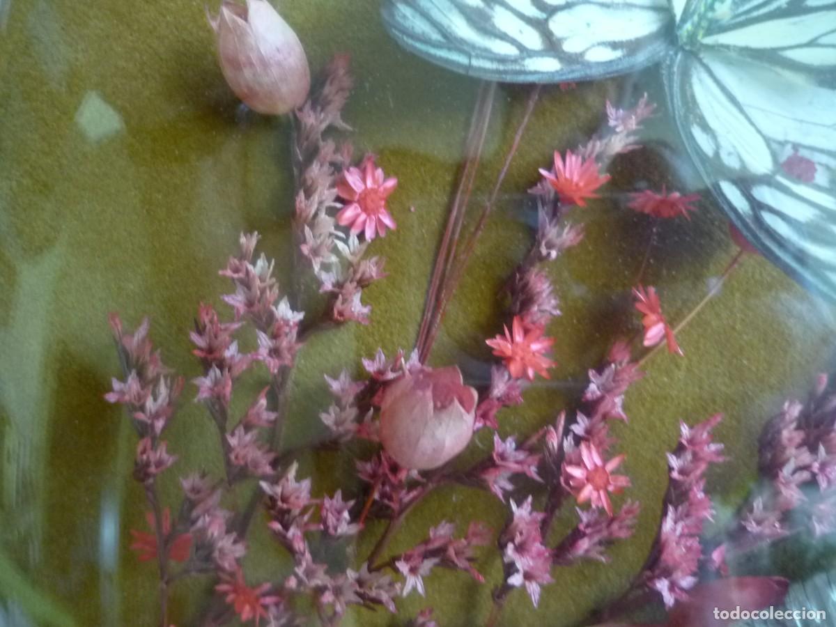 Vintage: Cuadro ovalado de flores secas y mariposas - Foto 5