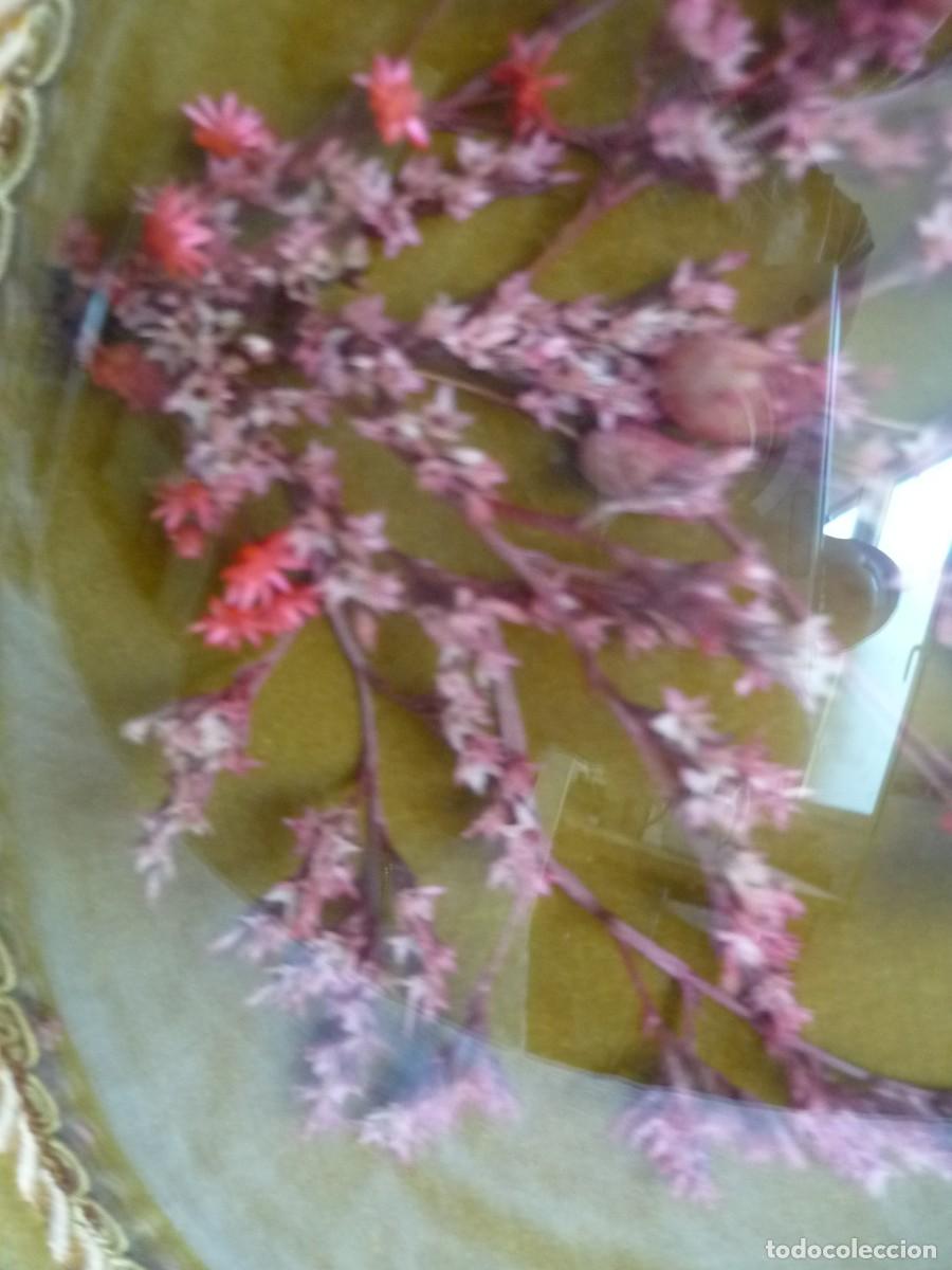 Vintage: Cuadro ovalado de flores secas y mariposas - Foto 7