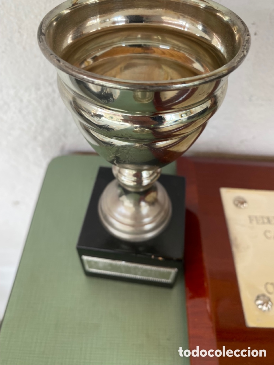 Vintage: Lote de copas y trofeos deportivos - Foto 5