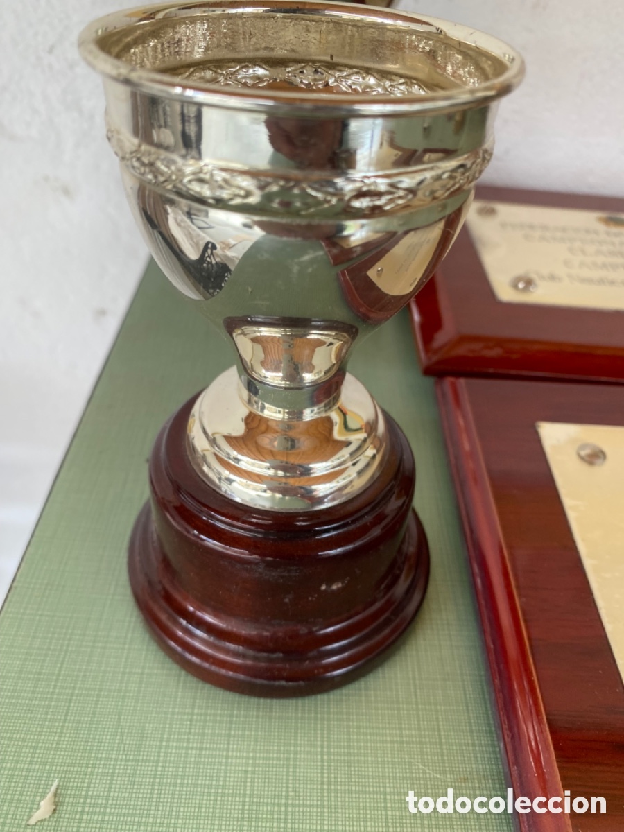 Vintage: Lote de copas y trofeos deportivos - Foto 6