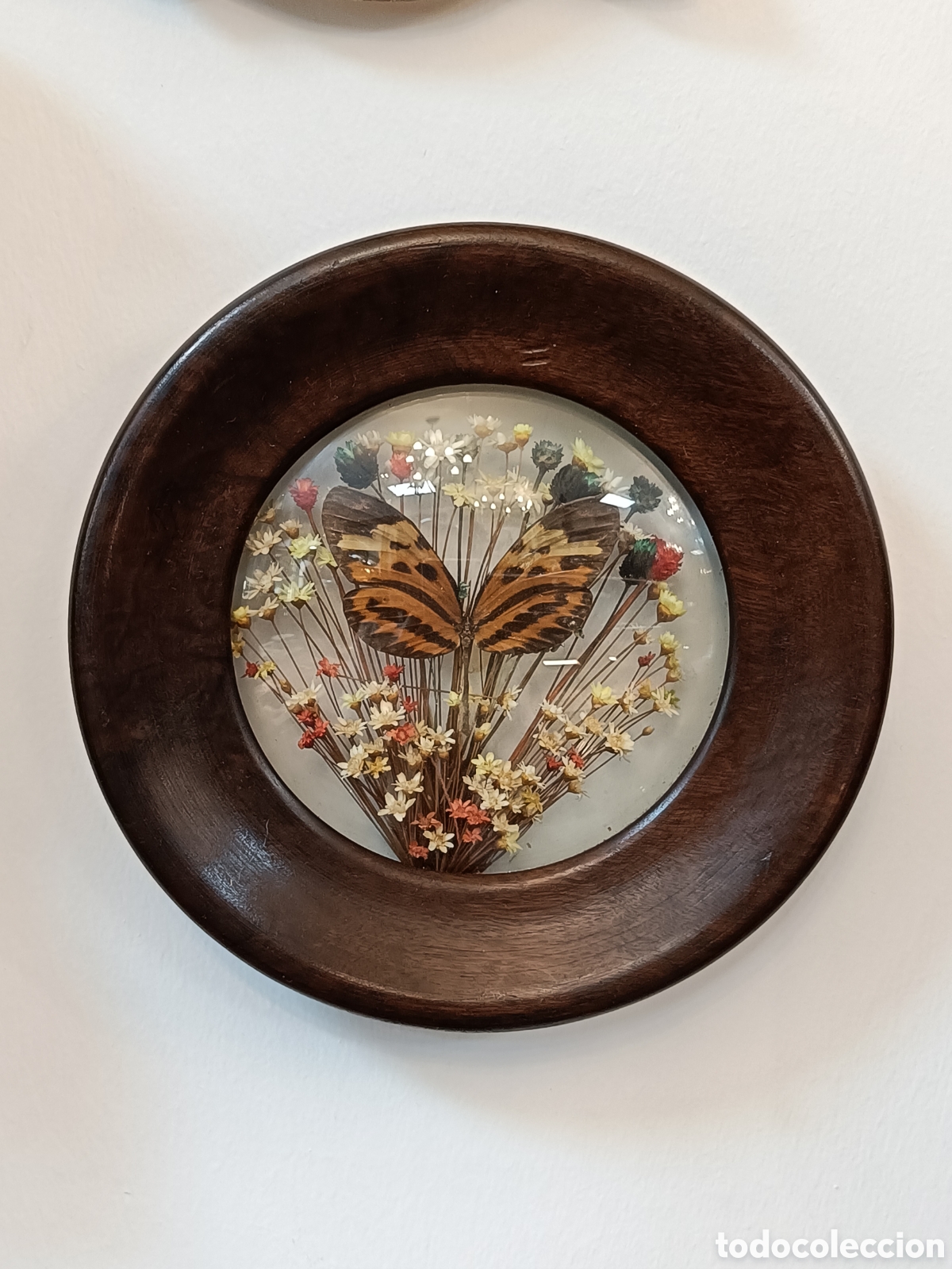 Vintage: CUADRO DE FLORES SECAS CON MARIPOSA VINTAGE REDONDO DE MADERA CAOBA A&Ntilde;OS 70. 16CM. DI&Aacute;METRO
