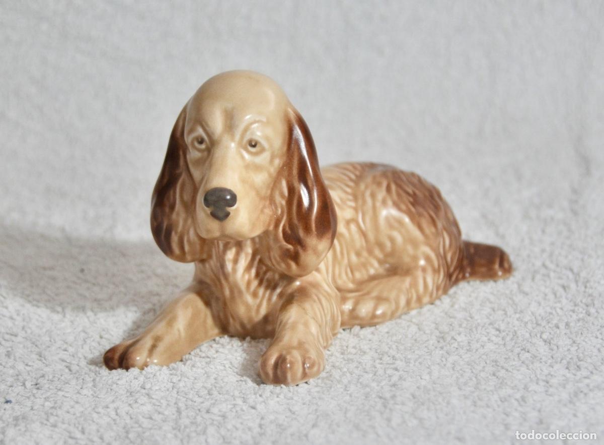Vintage: Perro cocker de la marca inglesa Sylvac - Foto 3